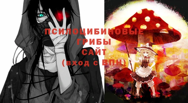 метадон Инсар