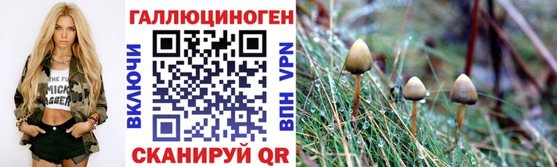 Галлюциногенные грибы MAGIC MUSHROOMS  Купить где  Исилькуль 
